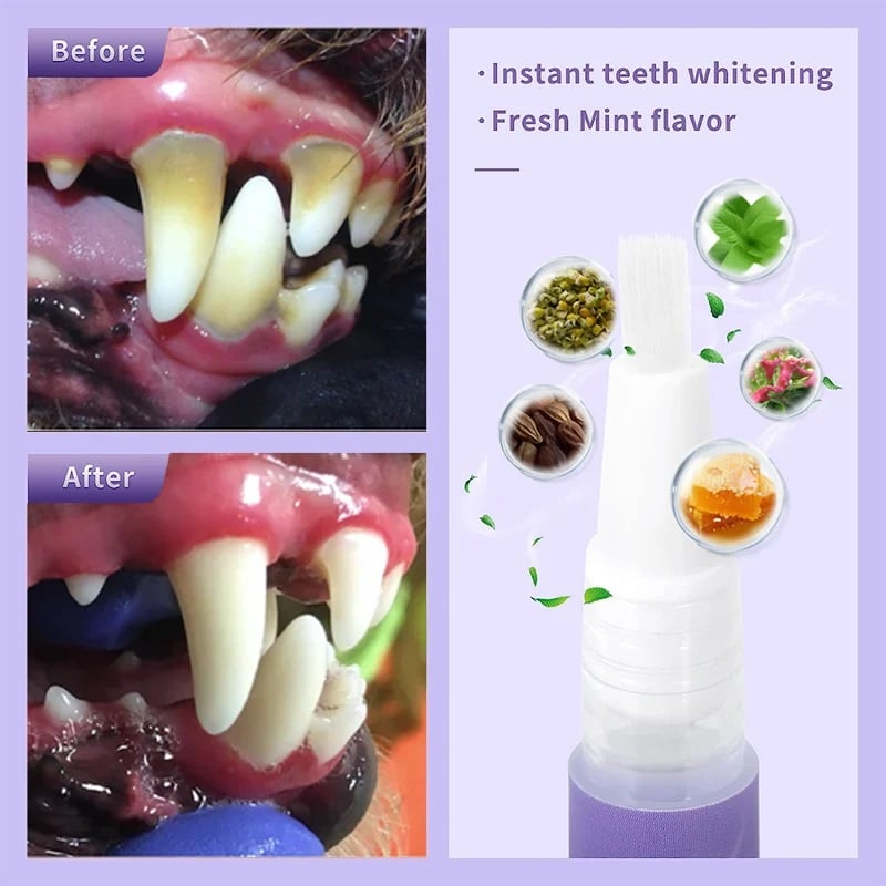 šš¾Pet Oral Repair Gelš¶āØ