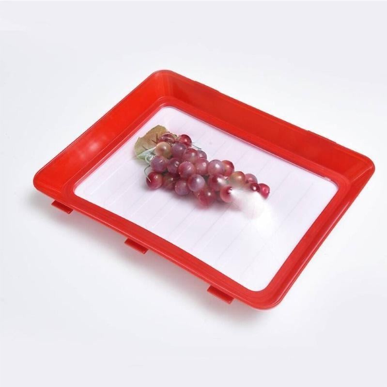 🎄Environmentally friendly design - Reusable Food Preserving Tray