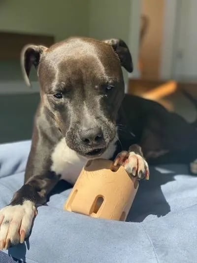 🎁Tennis Tumble Puzzle Toy