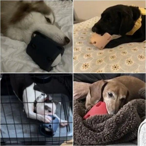 🎁Tennis Tumble Puzzle Toy