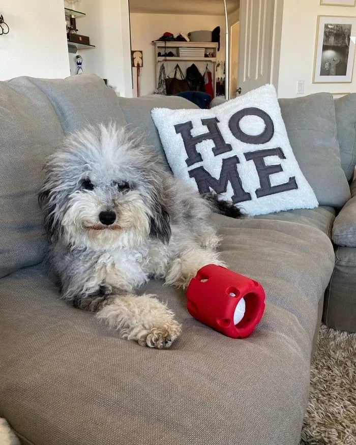 🎁Tennis Tumble Puzzle Toy