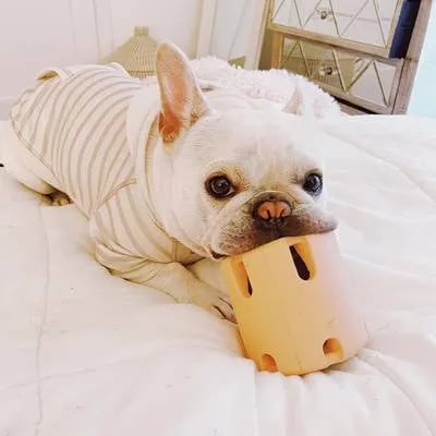 🎁Tennis Tumble Puzzle Toy