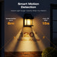 🔥Limited Time Offer🔥 Motion Sensor Solar Tungsten Wall Light