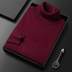 ✨Men's Solid Color Premium Turtleneck Sweater