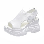 ❄️Women's Open-Toe Wedge Sandals✨