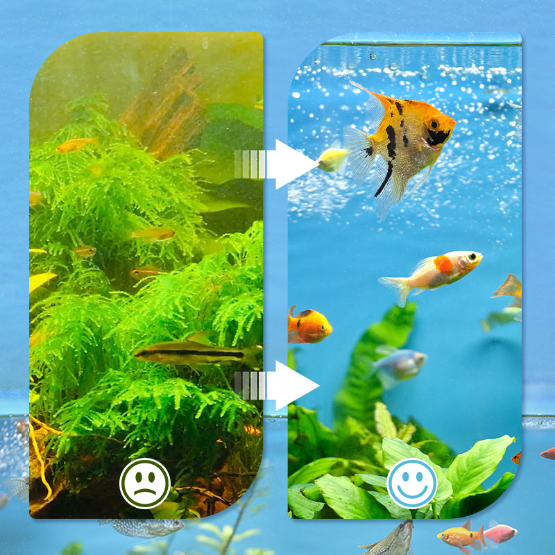 🐟🐠Professional Aquarium Filtering Pad