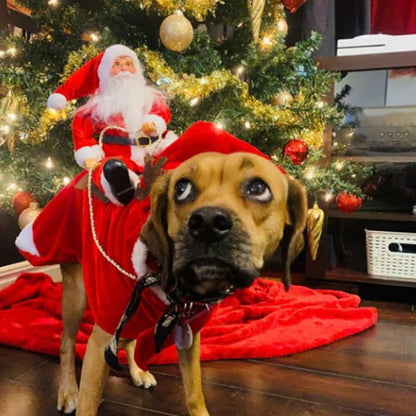 Santa Riding Dog Costume for Christmas