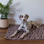 🐶😸Premium Reusable Super Absorbent PuppyPad🐾 (Kitten & Other Pets)