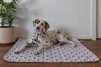🐶😸Premium Reusable Super Absorbent PuppyPad🐾 (Kitten & Other Pets)