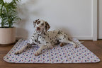🐶😸Premium Reusable Super Absorbent PuppyPad🐾 (Kitten & Other Pets)