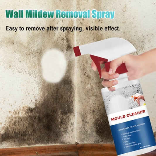 🔥Limited Time Offer🔥Mould & Mildew Removing Foam Spray
