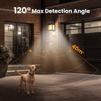 🔥Limited Time Offer🔥 Motion Sensor Solar Tungsten Wall Light